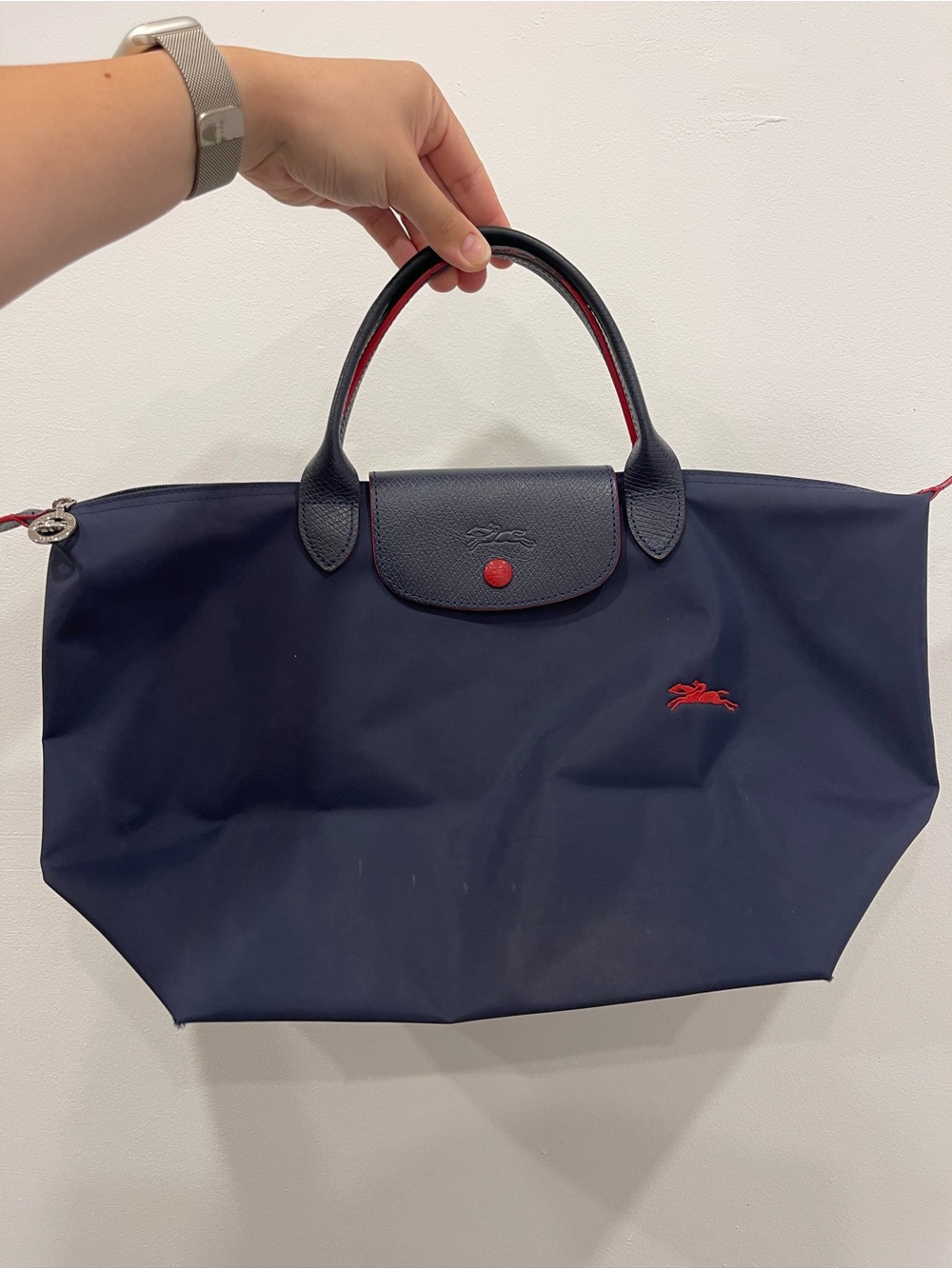 Longchamp Navy Le Pliage M